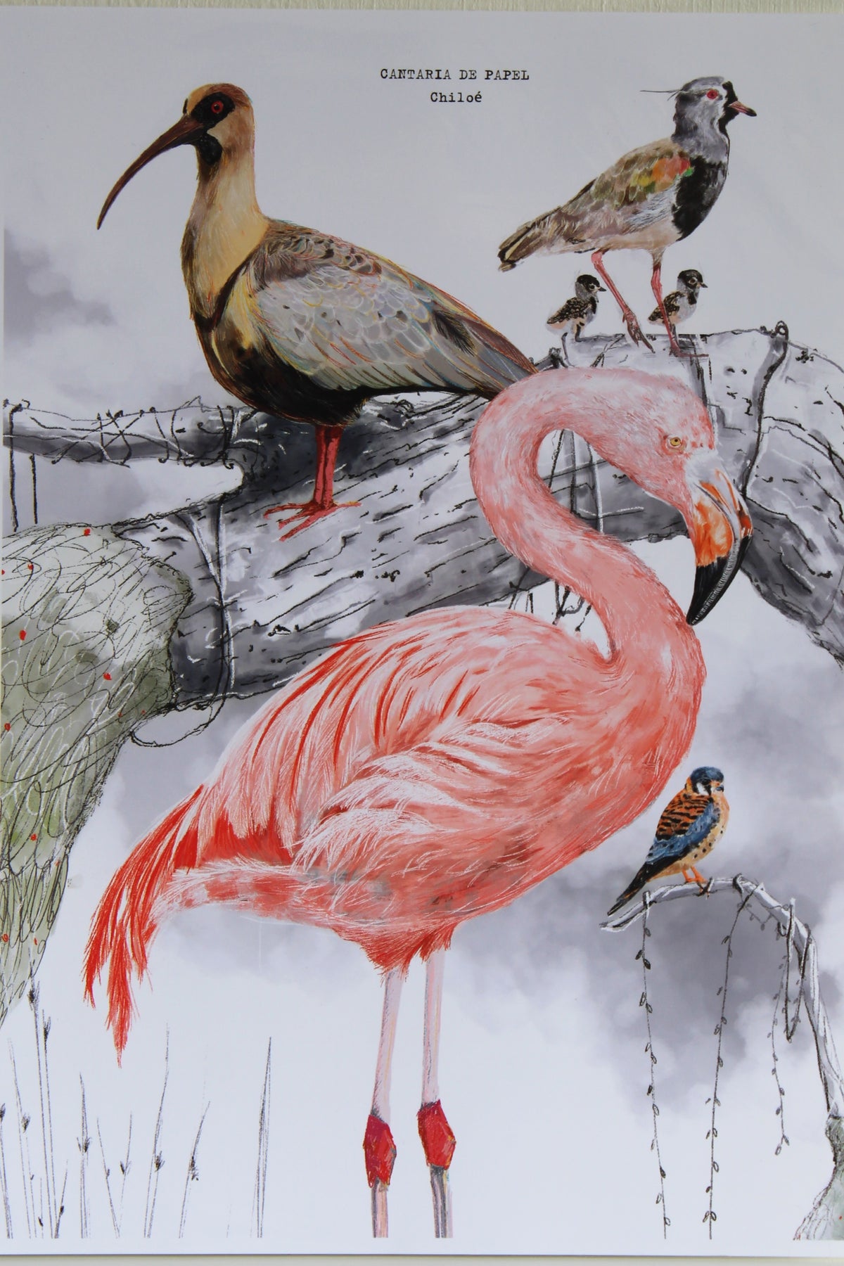 Lámina Decorativa Ilustrada A4, Fauna de Chiloé