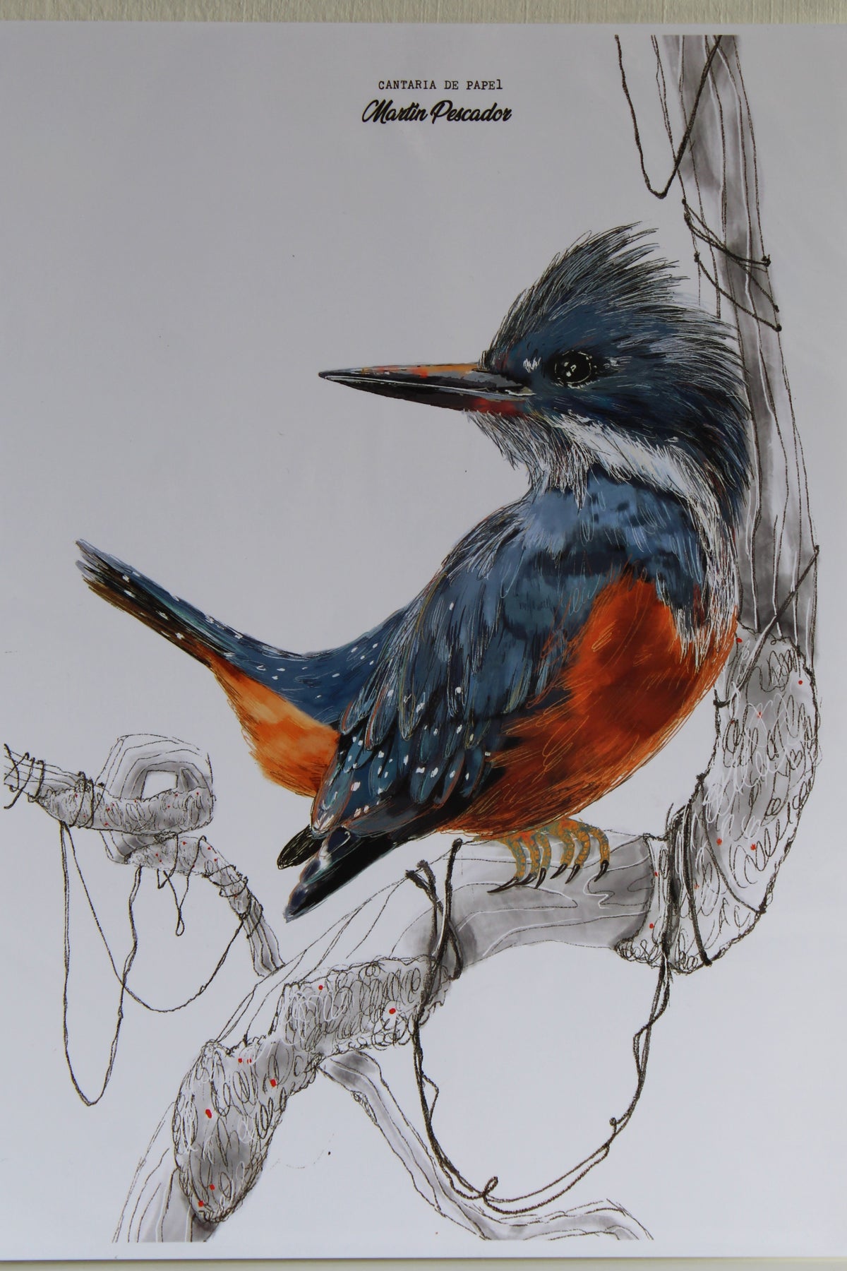 Lámina Decorativa Ilustrada A4, Fauna de Chiloé