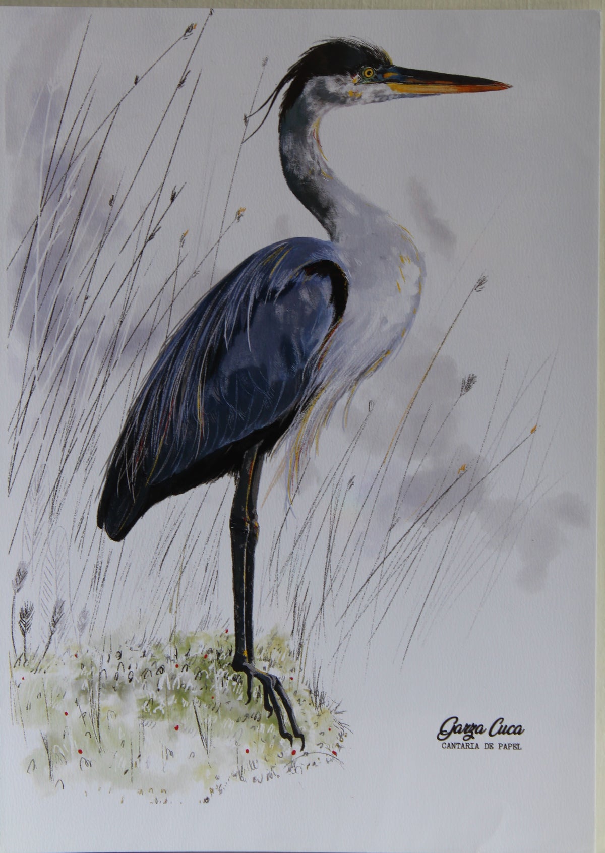 Lámina Decorativa Ilustrada A4, Fauna de Chiloé