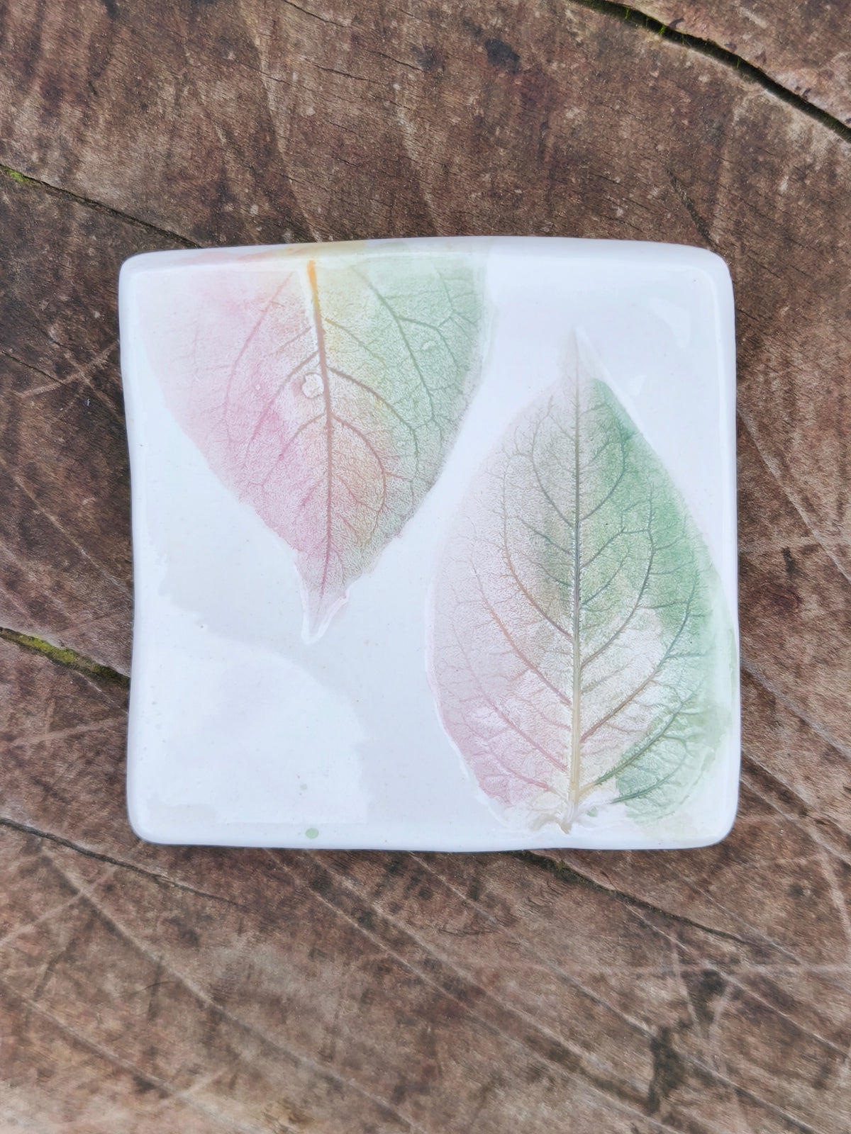 Platitos de ceramica para el té, Cerámica Canto de Rana
