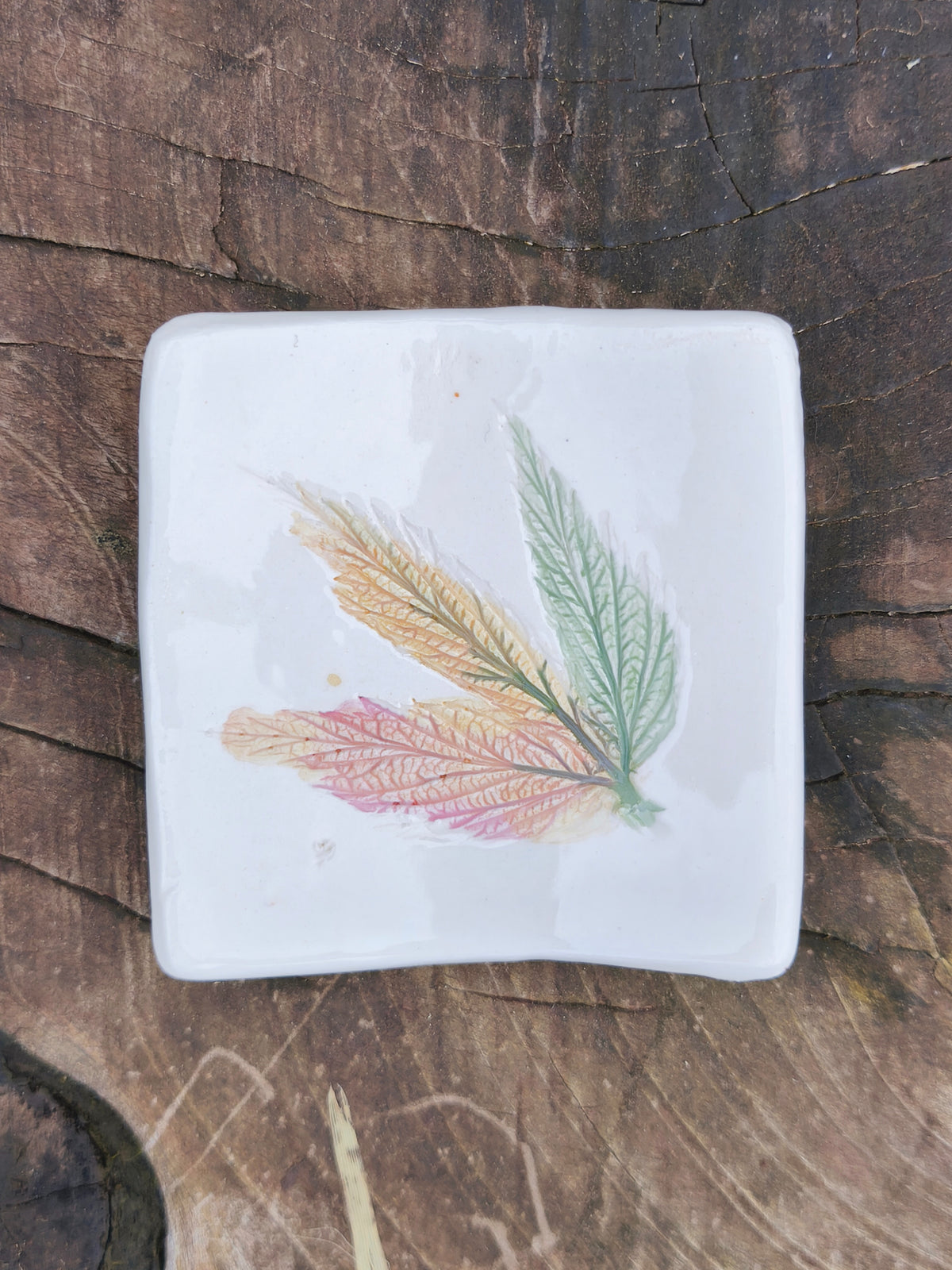 Platitos de ceramica para el té, Cerámica Canto de Rana