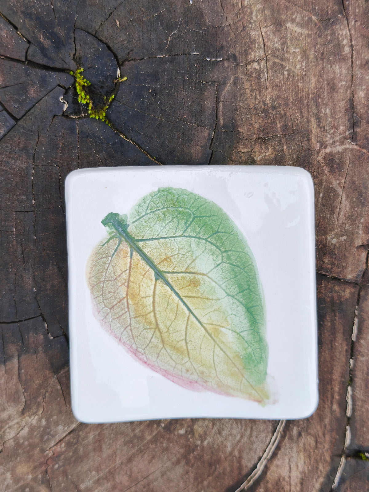 Platitos de ceramica para el té, Cerámica Canto de Rana