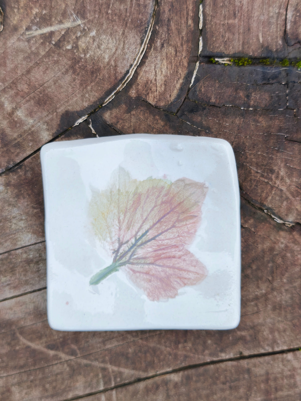 Platitos de ceramica para el té, Cerámica Canto de Rana