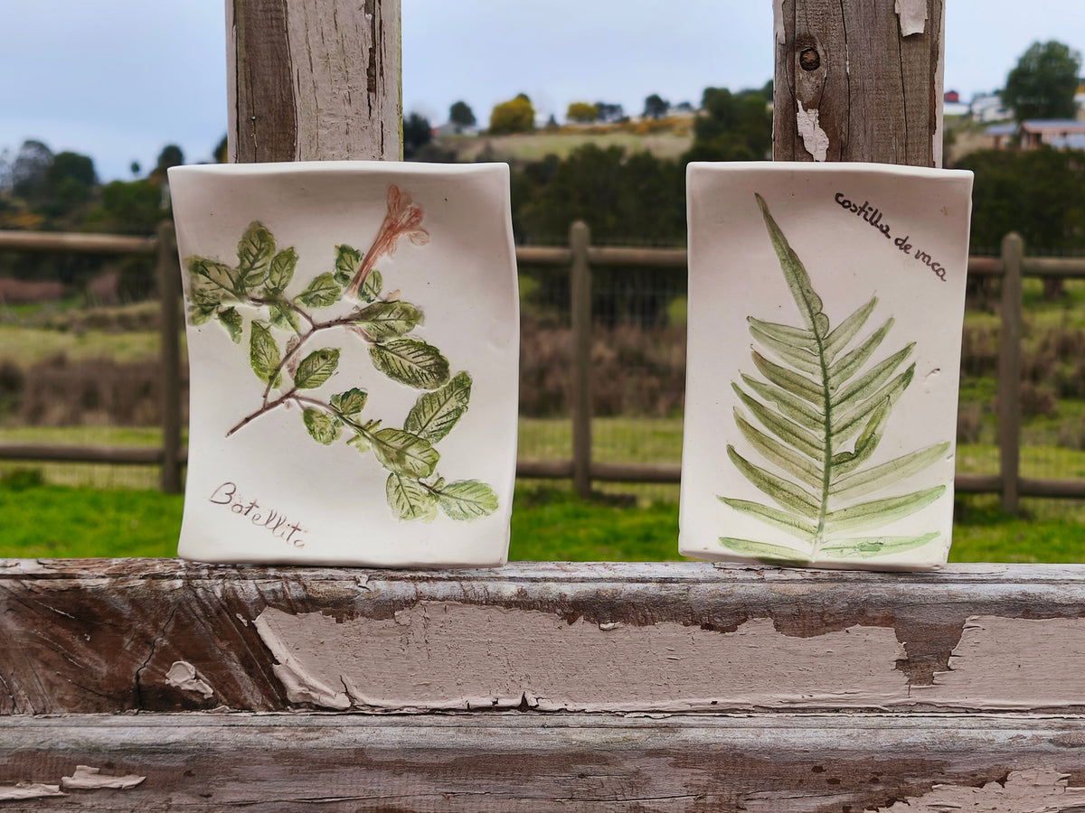 Set 2 Platitos de Cerámica, Canto de Rana